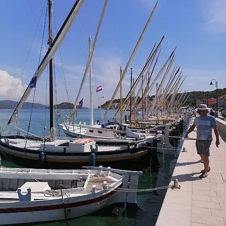 Arm Dalmatia *
